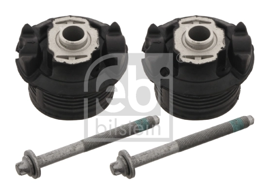 Bush Set, axle beam